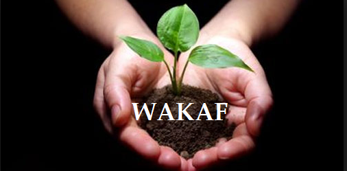 Wakaf sebagai Amal Jariyah yang Tak Terputus