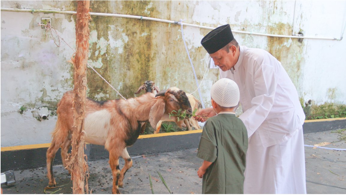 Apakah Boleh Cicil Qurban? Simak Hukum dan Penjelasannya