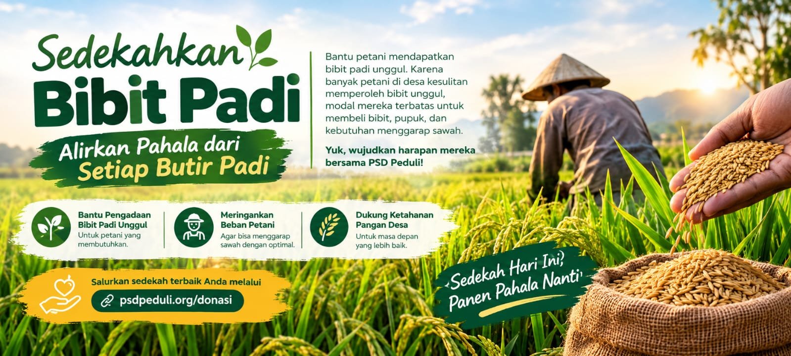 Sedekahkan Bibit Padi, Alirkan Pahala dari Setiap Butir Padi